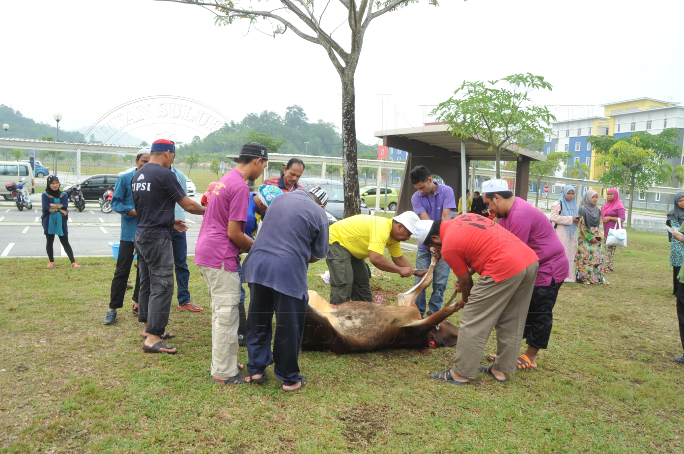 PRO15 150 KORBAN HAS 6823